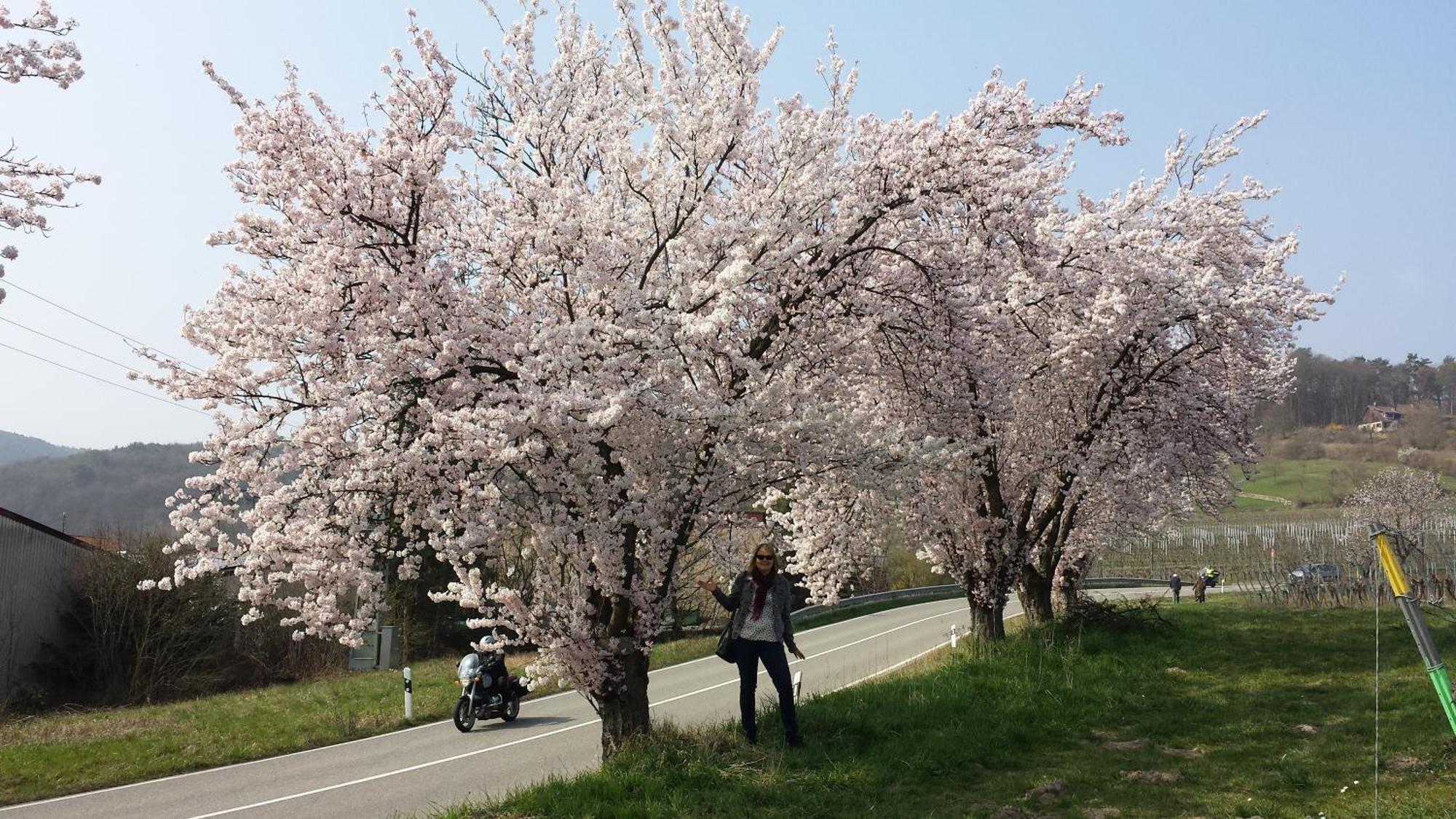 Ferienwohnung Berger Kurparkresidenz 巴特贝格匝本 外观 照片
